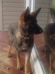 Meet your Posher, Patti